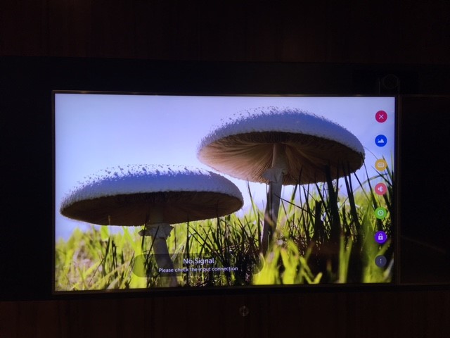 How Do I Customise the Screensaver? - LG webOS Smart TV Questions - LG