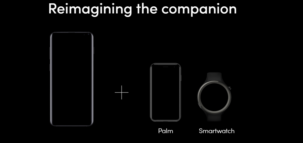 Palm Companion