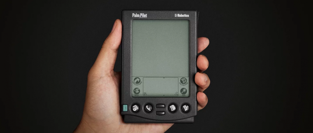 History of Palm