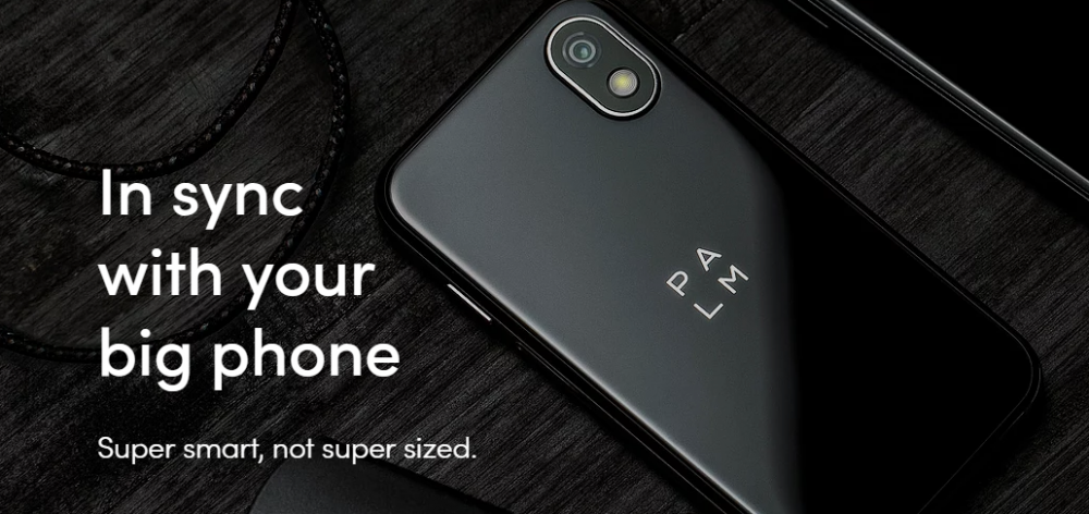 Palm Phone Companion
