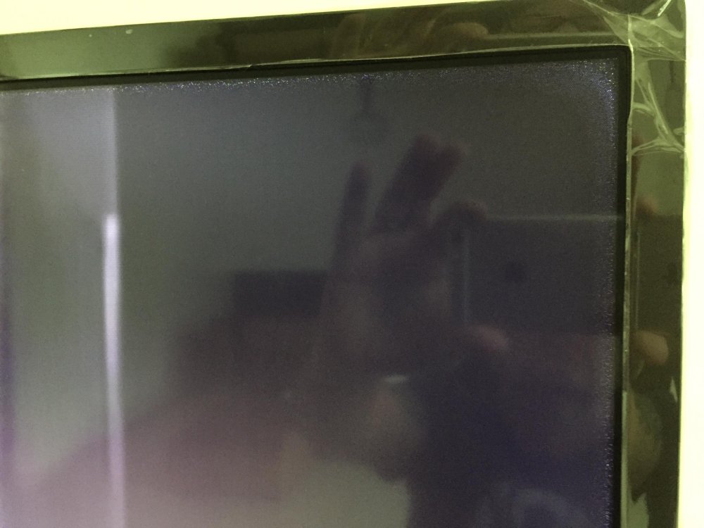 318444377_558093018984765_6383430580938419647_n.jpg